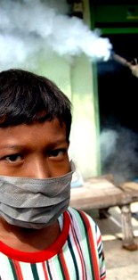 UGM 2015; Rilis Imun Penjinak Nyamuk Aedes Aegypti