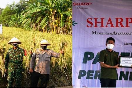 Program CSR Sharp Mapan; Panen Pertama Hasilkan 49 Ton Gabah di Karawang