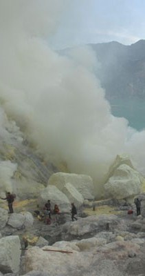 Banyuwangi 2017; Rilis Aplikasi Wisata Baru