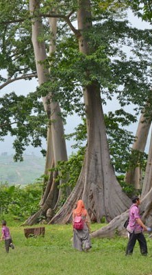 NTB Jadi The Rising Star; Bagi Wisatawan Korea