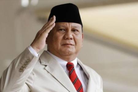 Menhan Prabowo Subianto, Dukung Resolusi Damai Palestina