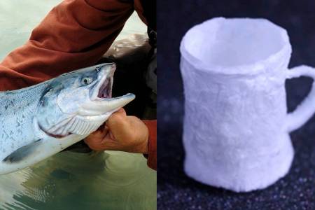 Sperma Salmon untuk Plastik Ramah Lingkungan