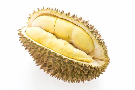 Desa Margorejo Kudus DItetapkan Jadi Desa Wisata Durian