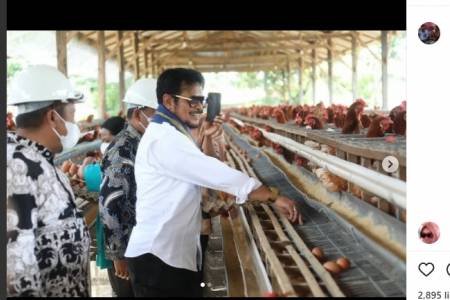 Menteri Pertanian Pastikan Pasokan Telur Ayam Mencukupi hingga Beberapa Bulan ke Depan