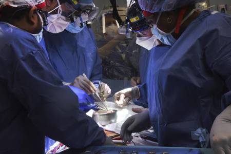 Transplantasi Jantung Babi Pertama ke Pasien Manusia