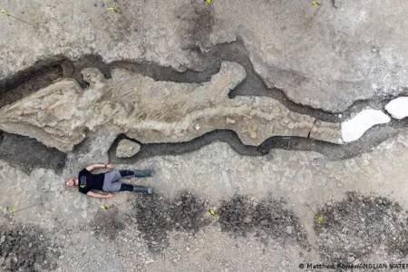 Fosil Lengkap “Naga Laut” Raksasa Ditemukan di Inggris