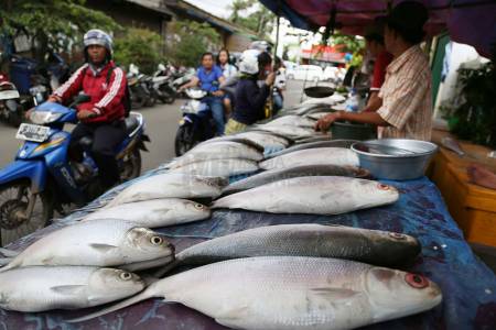 Jelang Imlek, Pasar Kaget Ikan Bandeng Ada di Rawa Belong