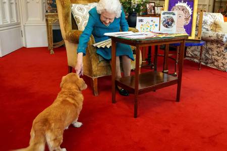 Ratu Elizabeth Rilis Wewangian Mewah untuk Anjing
