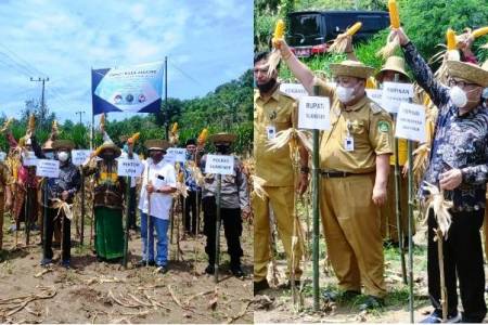 BI Jatim Dorong Program Integrated Farming Klaster Jagung di Madura