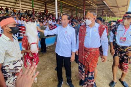 Presiden Jokowi Saksikan Ekshibisi Balap Pacuan Kuda 