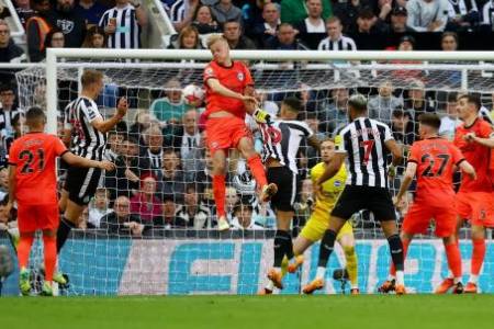Liga Inggris 2022/2023: Newcastle United Sikat Brighton & Hove Albion dengan Skor 4-1