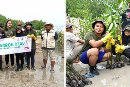 Sharp Indonesia Merehabilitasi Ekosistem Karbon Biru, Peringati Hari Mangrove Sedunia