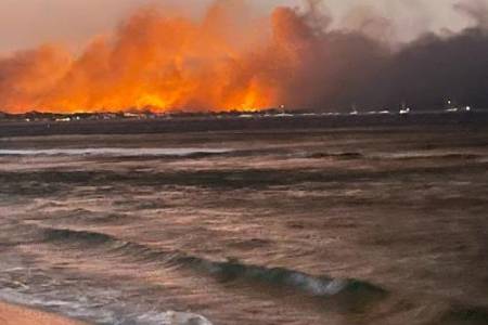 Kebakaran Hutan di Hawaii Menewaskan  67 Orang
