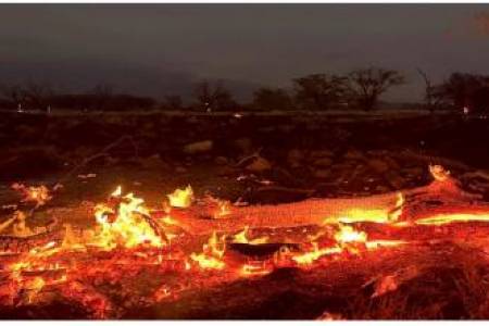 Breaking News: Kebakaran Hutan di Hawaii 89 Orang Tewas Kemungkinan Masih Terus Bertambah