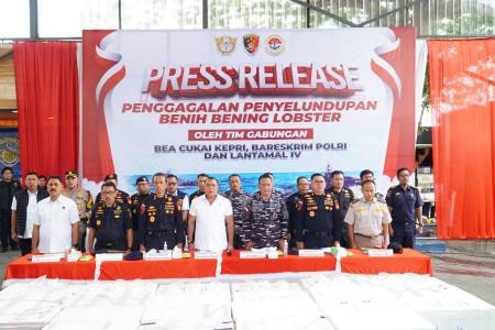 Polri dan TNI AL Gagalkan Penyelundupan Ratusan Ribu Benih Bening Lobster di Kepri