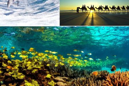 Serunya Berinteraksi dengan Satwa Liar di Alam Bebas Australia Barat