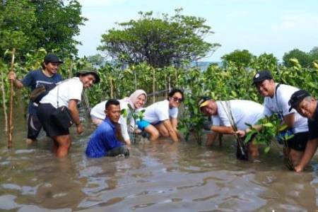 Sharp Indonesia Tanam 5.500 Pohon Mangrove dan Pulihkan Terumbu Karang di Kawasan Pesisir yang Terancam