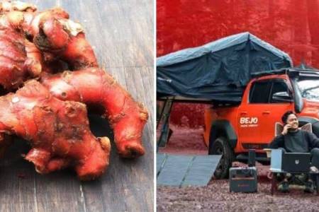 Jahe Merah Mampu Jaga Tubuh Tetap Fit Selama Perjalanan Ribuan Kilometer