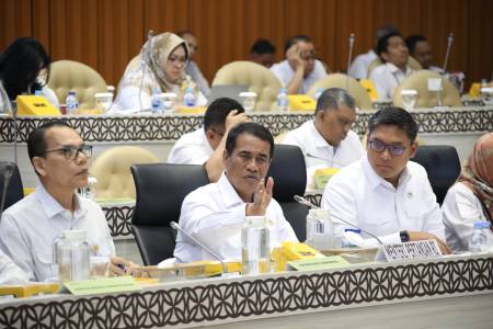 Produksi Surplus 3,7 Juta Ton, Komisi IV Apresiasi Mentan Amran