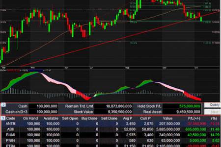 Dirut Futura Energi (FUTR) Dinilai Sukses Dongkrak Harga Saham