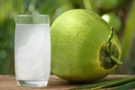 Kebanggaan Produk Air Kelapa Asli Indonesia Hadir di Tengah Fenomena K-Pop Global