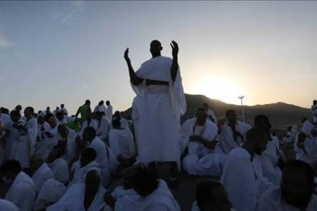 Ekspor Beras Haji Nusantara Libatkan Perusahaan Arab Saudi