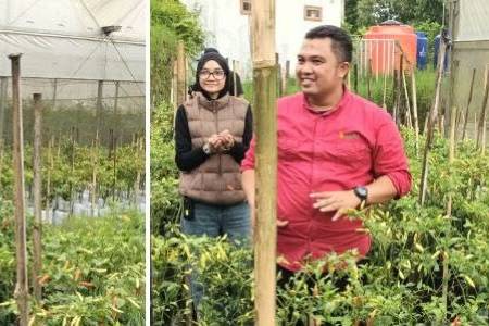 Kebun Eptilu di Garut Sukses Terapkan Hortikultura Modern, Gunakan Teknologi Tepat Guna