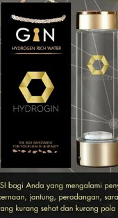 GIN International 2017; Rilis HYDROGIN