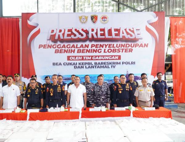 Polri dan TNI AL Gagalkan Penyelundupan Ratusan Ribu Benih Bening Lobster di Kepri