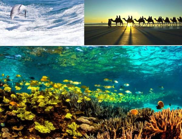 Serunya Berinteraksi dengan Satwa Liar di Alam Bebas Australia Barat