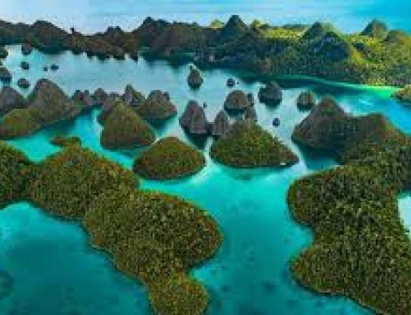 Menggagahi Raja Ampat, Melumpuhkan Keseimbangan Ekosistem 