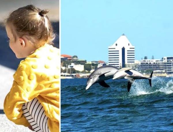 Jelajahi Fauna Australia Barat yang Kaya, Berinteraksi dengan Satwa Liar