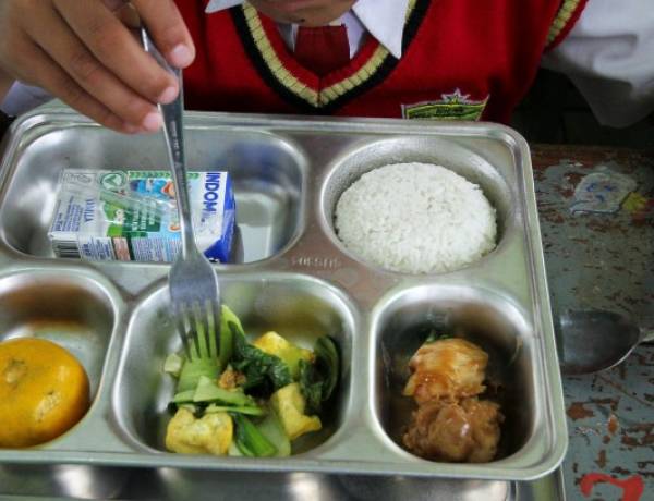 Dugaan Food Tray MBG Terpapar Minyak Babi, BPJPH Diminta Telusuri