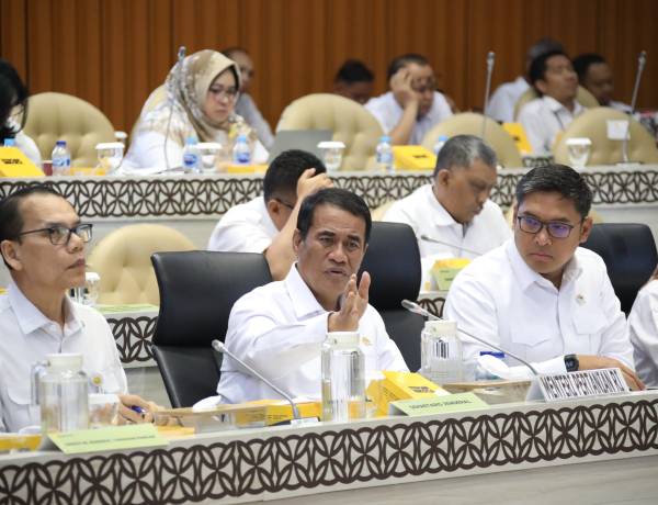 Produksi Surplus 3,7 Juta Ton, Komisi IV Apresiasi Mentan Amran