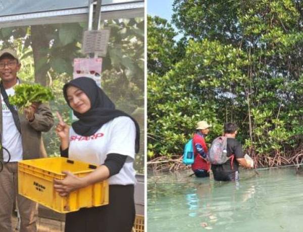 Sharp Cetak Generasi Emas Sebagai Wirausaha Pertanian dan Penjaga Lingkungan Masa Depan
