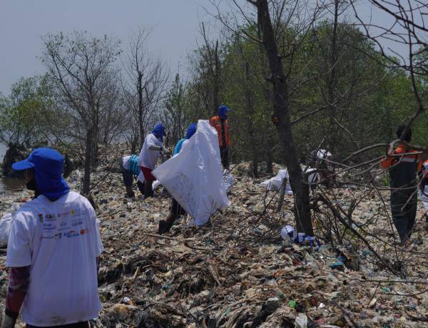 BPA Foundation: Membangun Solusi Nyata untuk Sungai Cisadane