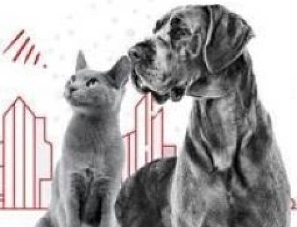 Pentingnya Pecinta Hewan Memahami Nutrisi yang Tepat untuk Hewan Kesayangan