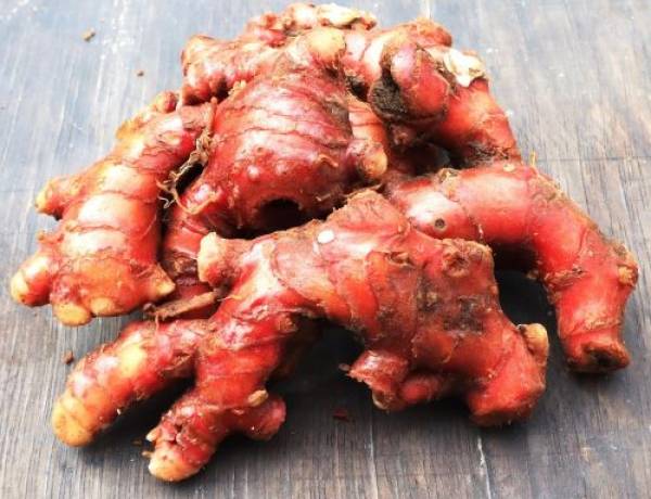 Dari Tradisi ke Standar Industri Obat Herbal Global, Jahe Merah Miliki Banyak Khasiat