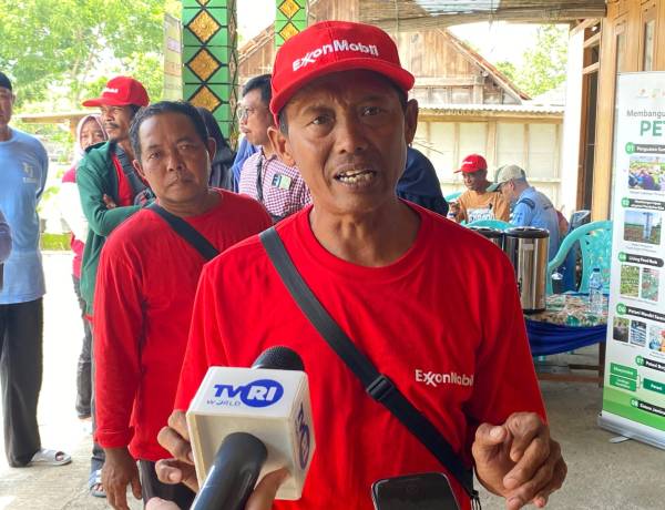 EMCL Inisiasi Sekolah Lapangan Pertanian,Dorong Kemandirian Petani  Bojonegoro
