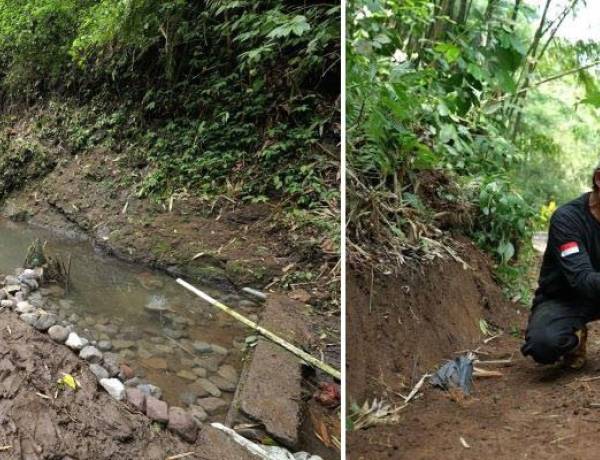 Restorasi Mata Air dan Tanam 21.000 Pohon di Kabupaten Malang, Perkuat Ketahanan Lingkungan dan Ekonomi Warga