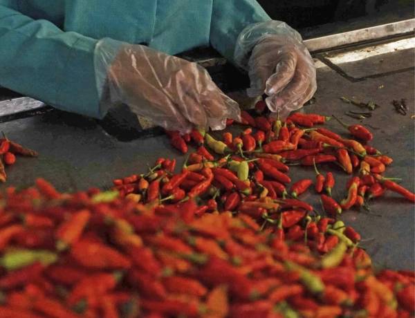 Harga Cabai dan Bawang Merah Naik Gila-gilaan