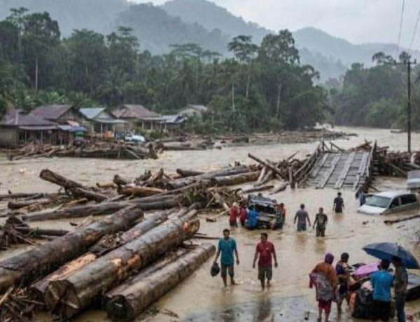 Kerusakan Hutan Berada Pada Daerah Mudah Transaksi Alih Fungsi Hutan