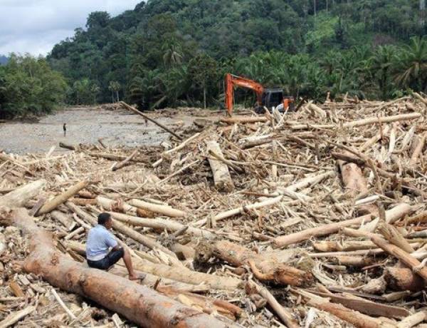Gelondongan Kayu di Bencana Banjir Sumatera 