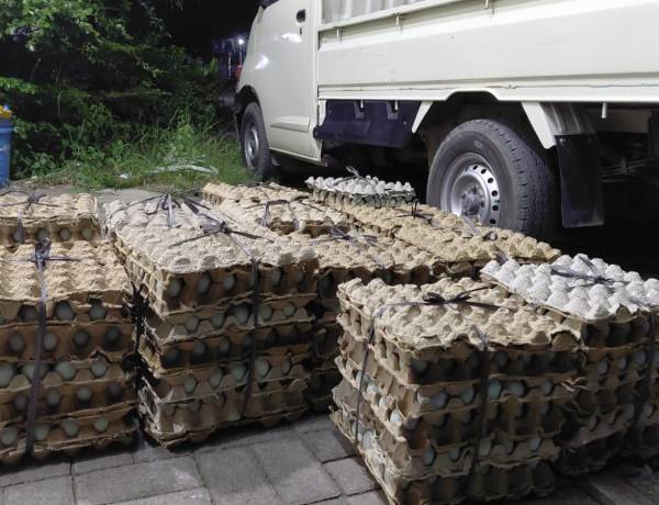 PMI Kirim 100 Ribu Butir Telur Asin untuk Korban Banjir di Sumatera dan Aceh