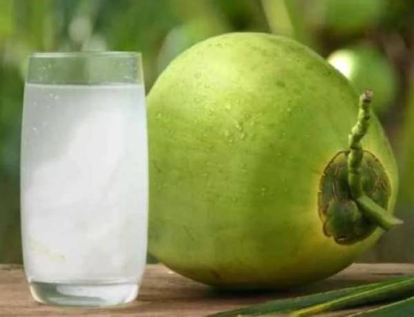 Kebanggaan Produk Air Kelapa Asli Indonesia Hadir di Tengah Fenomena K-Pop Global