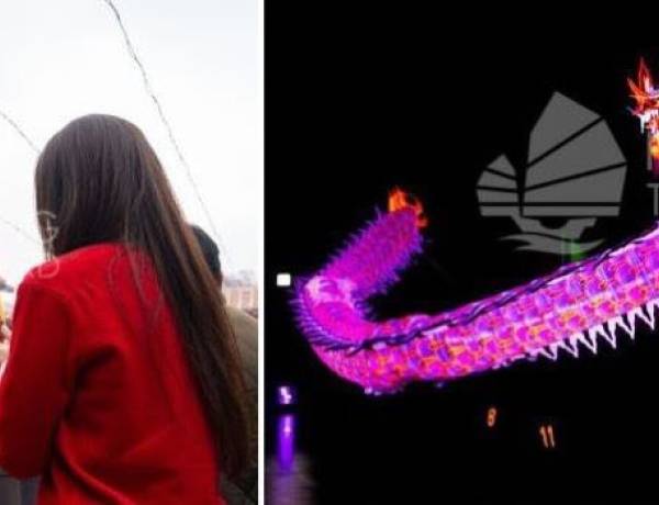 Hongkong Sambut Tahun Kuda dengan Tradisi Unik dan Parade Malam Tahun Baru Imlek Internasional 2026