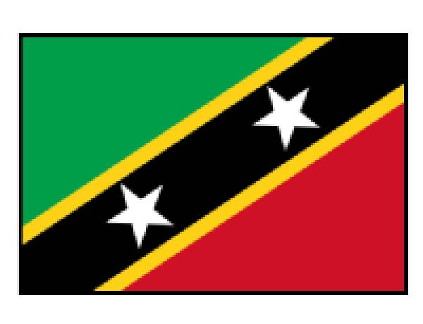 Tundukan Timnas Salomon 2-4, ST Kitts & Nevis Posisi Ketiga FIFA Series 2026