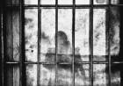 Kasus Narkoba, Warga Jepang di Vonis 20 Tahun Penjara di Bali