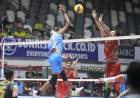 PLN Mobile Proliga 2025: Samator Tundukkan Bank Sumsel 3-1