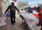Inklusifitas Genosida:  Dunia "Menimba" Aib Gaza
